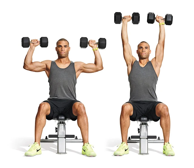 Biceps Dumbbell Exercise