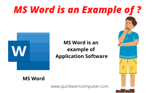 MS Word is an example of