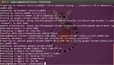 Install Google Chrome di Ubuntu 13.10/13.04