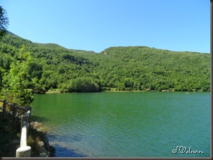 SAM_0508