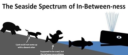 IB Spectrum[4][4]