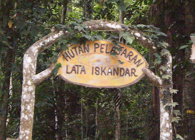 My Lovelyvic Story: Cendawan Susu Harimau