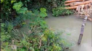 INDRHI mantiene abandono Canal Vicente Noble-Canoa, Agricultor denuncian situación.