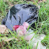 Más de 130 toneladas de basura diaria se recogen en Martínez