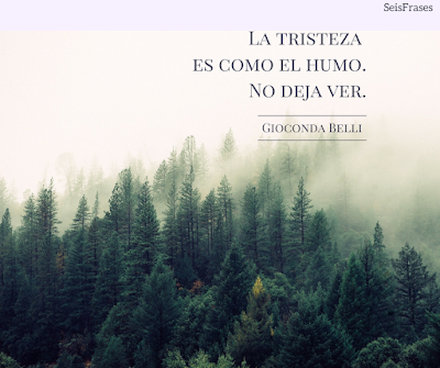 seis frases gioconda belli libro el infinito en la palma de la mano la tristeza es scomo el humo no deja ver bosque niebla imagen con texto citas