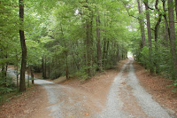 fork in the road