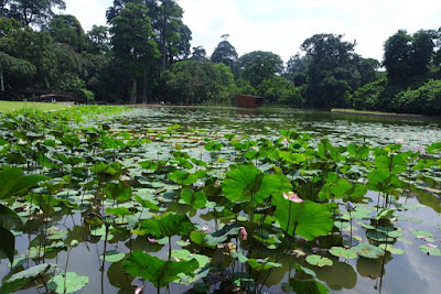 Kebun Raya Bogor