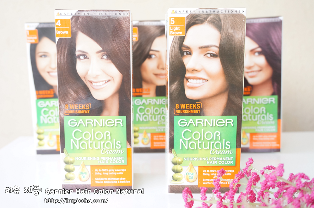 Review Garnier  Hair Color Natural Darkest Brown  Im Piccha