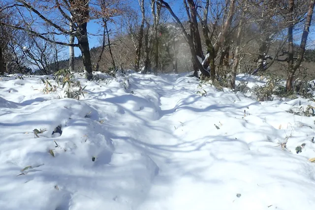 雪の登山道