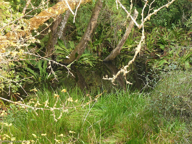 water in the reservoir