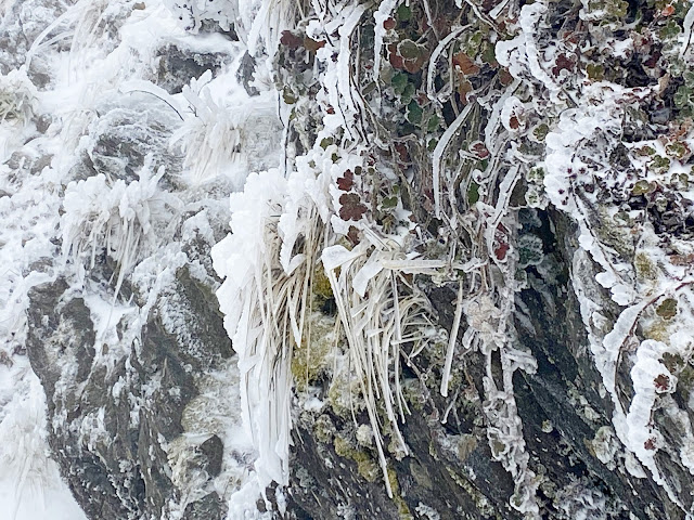 合歡山賞雪