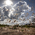 Pakistan braces worst desert locusts attack that spread across the country