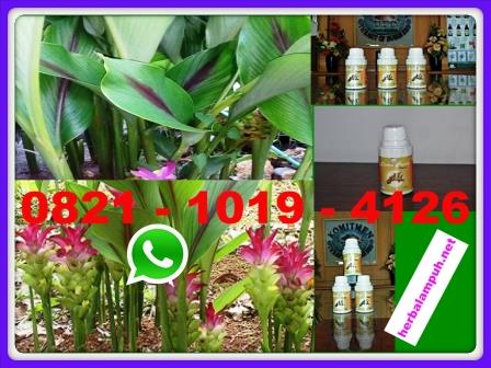 Inilah 7 Tanaman Herbal Kanker Serviks Yang Mudah Didapatkan