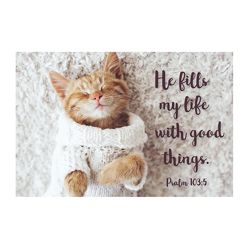 Cat Scripture