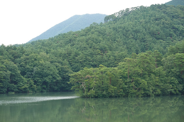 鳥取県西伯郡大山町赤松 赤松池