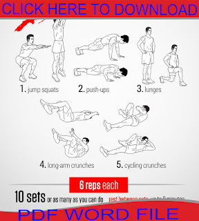 Lower Ab Workouts