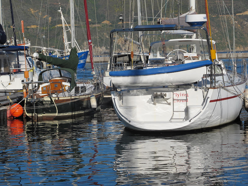Picture taken on the HBYC marina July 2012 by R McBride