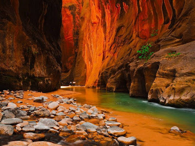 Zion National Park United States