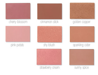 Blush Mary Kay