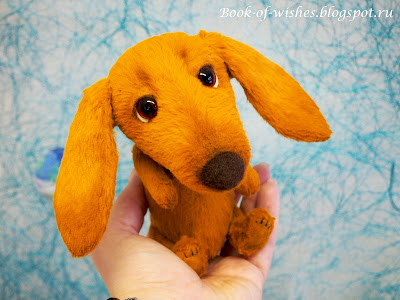 teddy dachshund