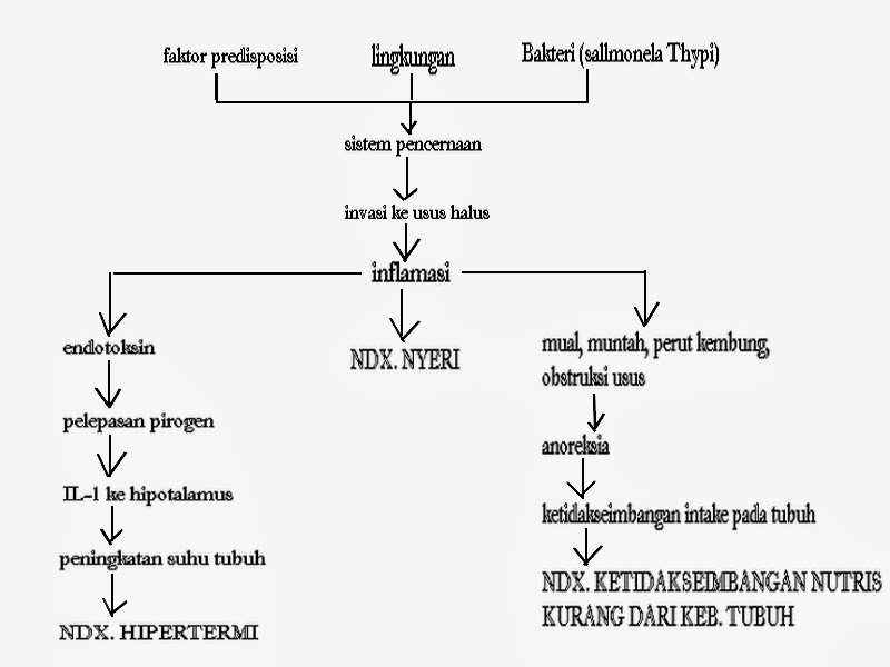 Contoh Askep Febris Pada Anak Pdf - Simak Gambar Berikut