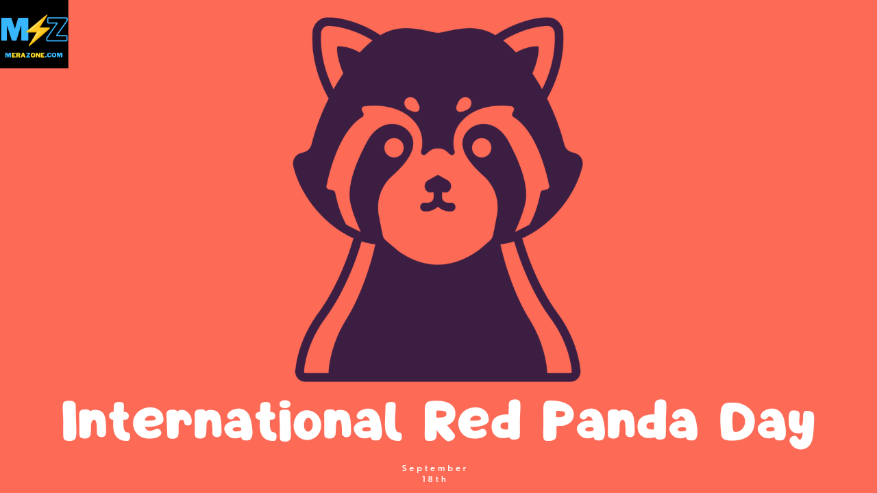 International Red Panda Day 2022 Image