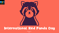 International Red Panda Day 2022 - HD Images and Wallpaper