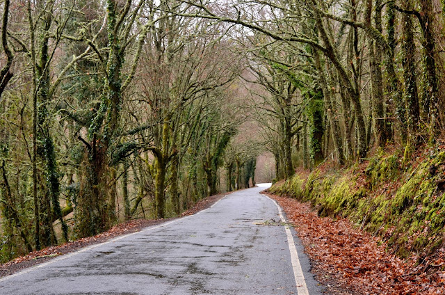 ribeira sacra ourense