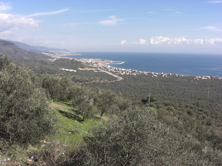 looking backwards down the road out of burhaniye