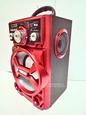 speaker ampli karaoke fleco