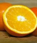 buah jeruk bahan antibiotik