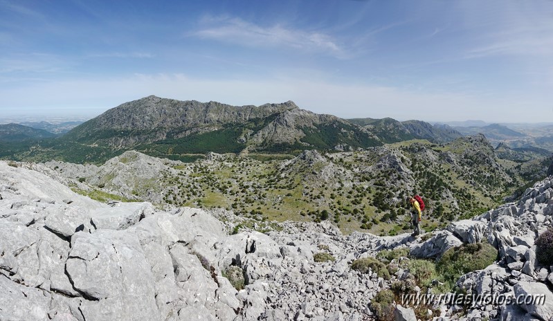 Nueve picos de la Sierra del Endrinal