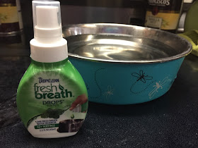 Tropiclean fresh breath drops. Easy to keep dogs clean