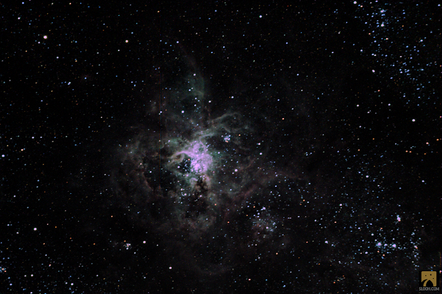 TARANTULA NEBULA (NGC 2070) a color