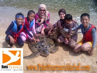 Pulau Penyu - Turtle Island Watersport Tanjung Benoa