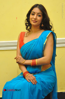 Telugu Actress Vaibhavi Stills in Blue Saree at Www.Meena Bazaar Movie Opening  0078.JPG