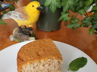 one square piece of cake on plate, bird and plant in background