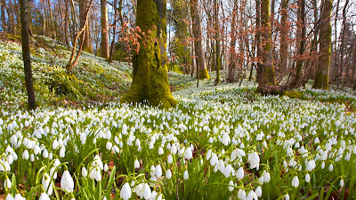 Hermosas fotografías de paisajes naturales - Beautiful nature landscapes