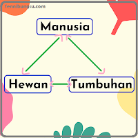 cara menjaga hutan, cara melestarikan hutan dengan baik, apa itu adopsi hutan, bagaimana cara adopsi hutan,