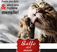 Logo Concorso Leonardo '' Il gatto del mese di giugno 2020'': vinci gratis fornitura mensile