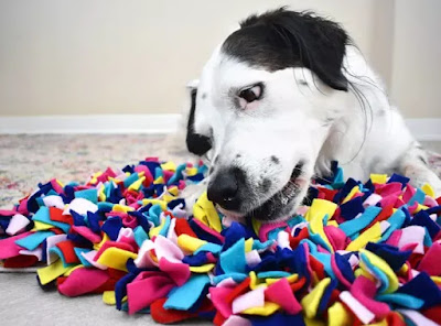 A black and white dog is sniffing a very colourful snuffle mat made of lots of little pieces of fabric