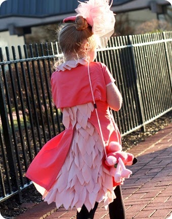 IMG_6537_1438flamingo dresses