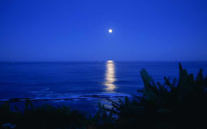 الليل ، البحر ، القمر ، المحيط ، خلفيات انعكاس HD / خلفيات سطح المكتب والهاتف المحمول