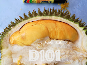 D101_Durian_Malaysia_Singapore