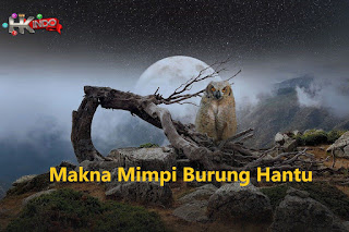 Tafsir Mimpi Burung Hantu