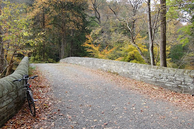 Rex Avenue Bridge.