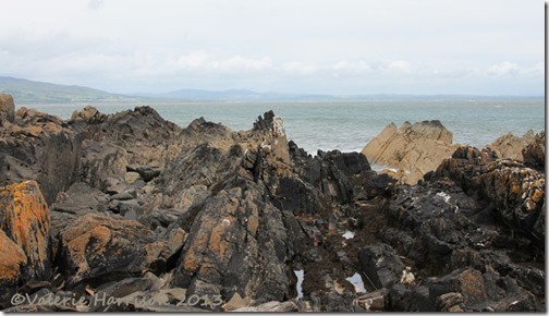24-rocks