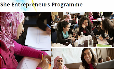 scholarships - منحة تدريبية يقدمها برنامج “هي تُبادر 2014″ بالسويد -  She Entrepreneurs Program