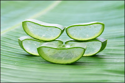 aloe vera bajar de peso, aloe vera adelgazar