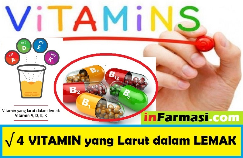 4 Vitamin Yang Larut Dalam Lemak Infarmasicom